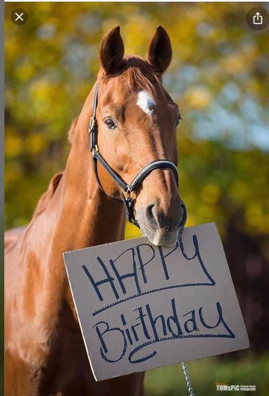 Happy birthday Russell from all the owners at Lets Get Racing Club