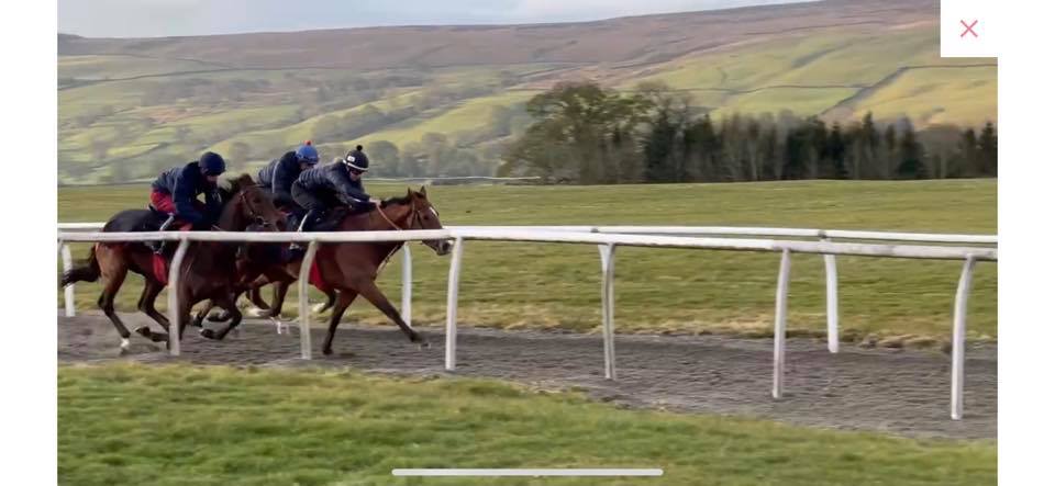Tipperary Tiger doing what he likes to do the most – work and be in the lead