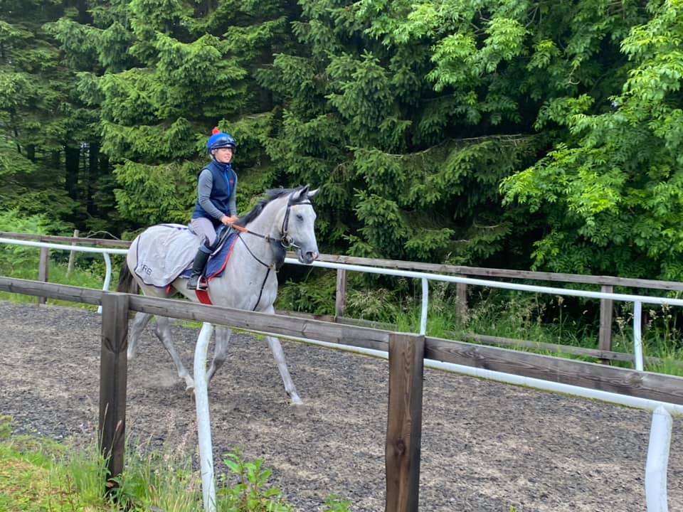 Beginning to count down days to our next yard visit @karl_burke to see this cheeky boy!