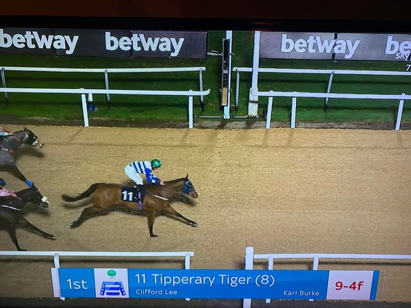 Thanks to Karl Burke and Clifford Lee – fantastic win by the gorgeous Tipperary Tiger