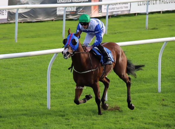 Declared to race tomorrow at Doncaster Tipperary Tiger