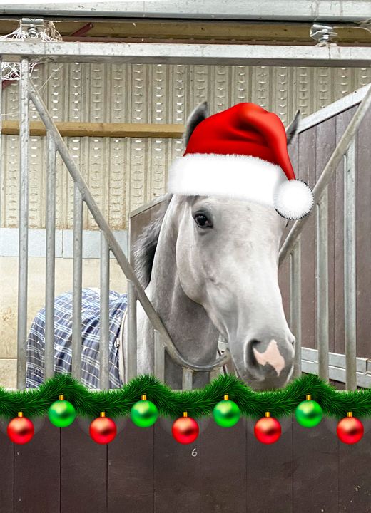 Let’s Get Racing club is super excited about Christmas and winter racing.